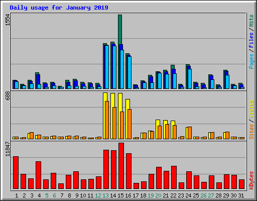 Daily usage for January 2019