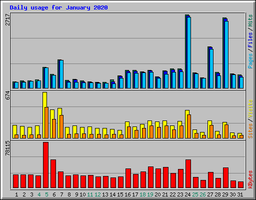 Daily usage for January 2020