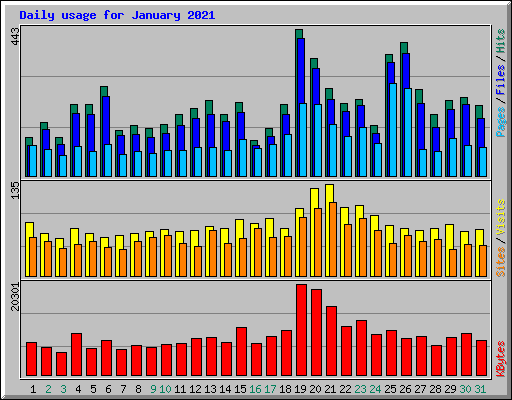 Daily usage for January 2021