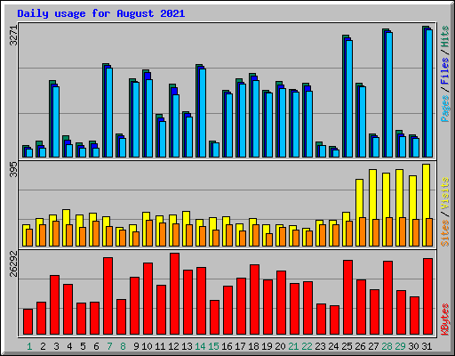 Daily usage for August 2021