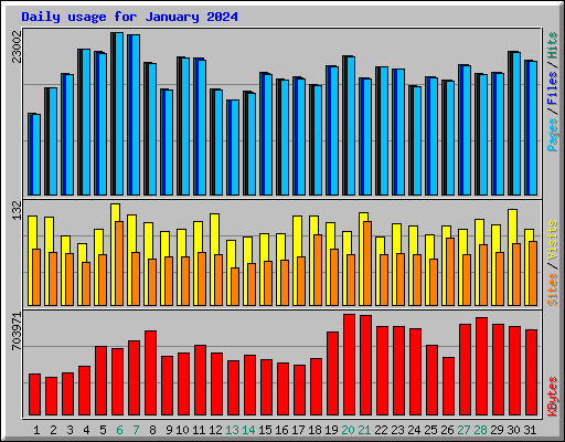 Daily usage for January 2024