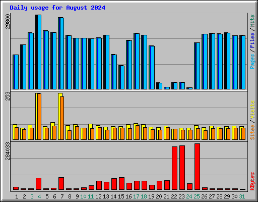 Daily usage for August 2024