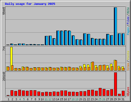 Daily usage for January 2025