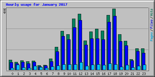 Hourly usage for January 2017