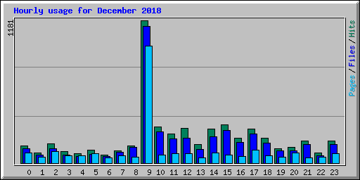 Hourly usage for December 2018