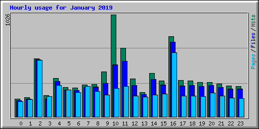 Hourly usage for January 2019