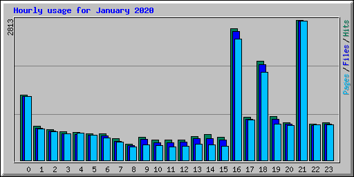 Hourly usage for January 2020