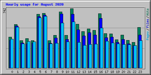 Hourly usage for August 2020