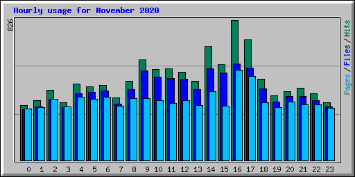Hourly usage for November 2020