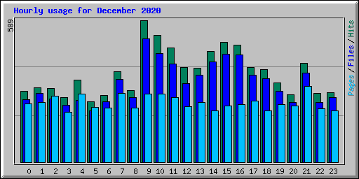 Hourly usage for December 2020