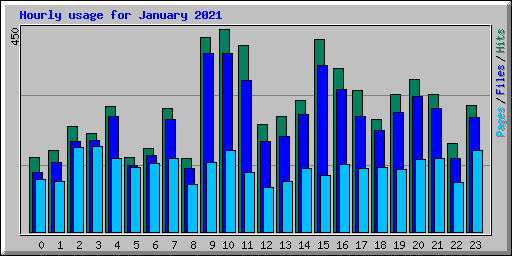 Hourly usage for January 2021