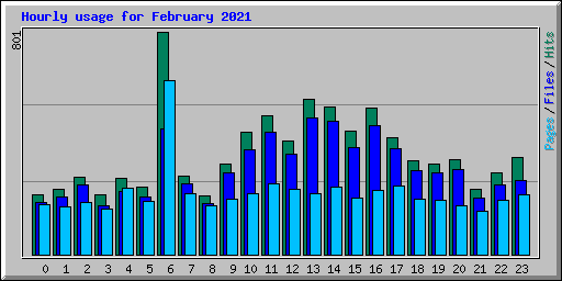 Hourly usage for February 2021