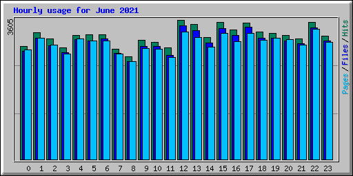 Hourly usage for June 2021