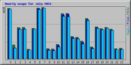 Hourly usage for July 2021