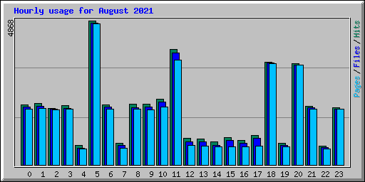 Hourly usage for August 2021