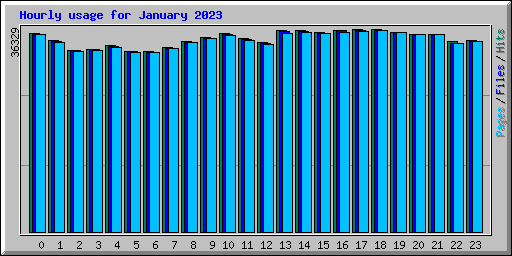 Hourly usage for January 2023