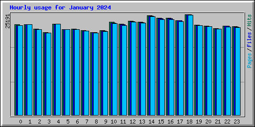 Hourly usage for January 2024