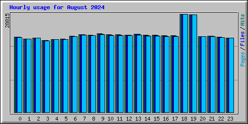 Hourly usage for August 2024