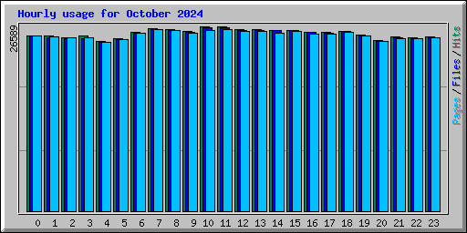 Hourly usage for October 2024