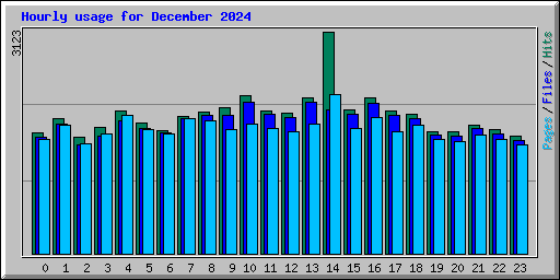 Hourly usage for December 2024