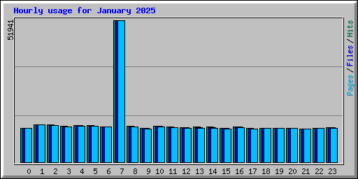 Hourly usage for January 2025