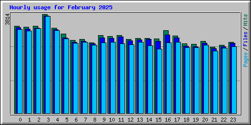 Hourly usage for February 2025