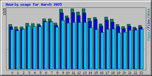 Hourly usage for March 2025